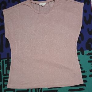 Elegant Pink Shimmery Short Sleeve Top